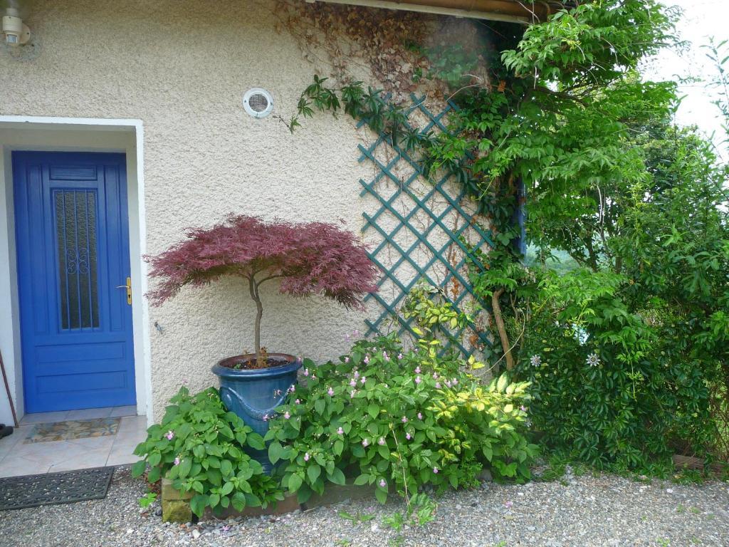 Maison Artigouha Bed and Breakfast Loubieng Exterior foto